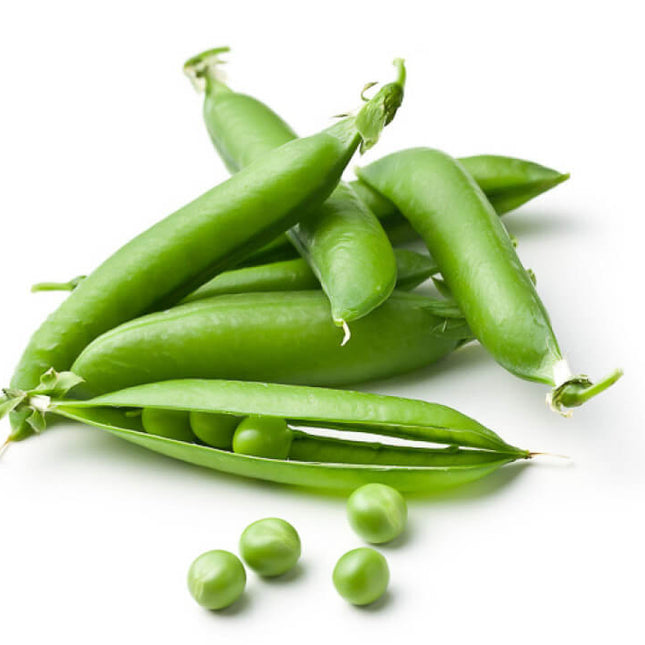 Lage erwt – Doperwt – Pisum sativum – 