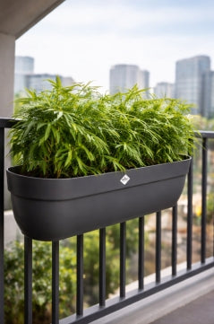 Kant-en-klare Balkonbak met Bamboe – Vibia Campana Easy Hanger XXL 70 cm