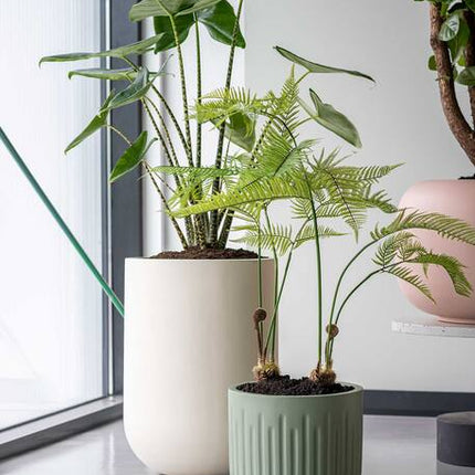 Fern - Kunstplant - S