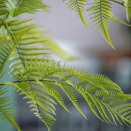 Fern - Kunstplant - S