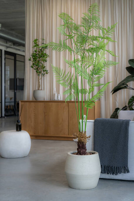 Fern - Kunstplant - XL