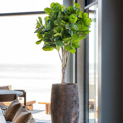 Ficus Lyrata - Kunstplant - L