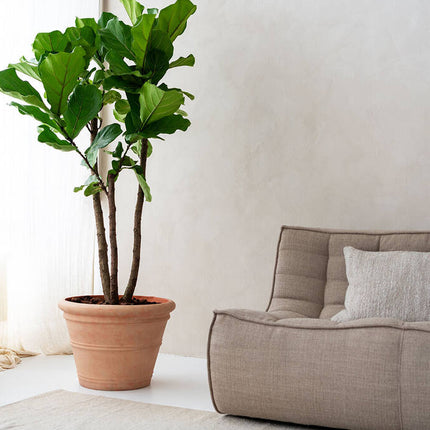 Ficus Lyrata - Kunstplant - L