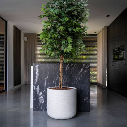 Ficus Tree - Kunstplant - L