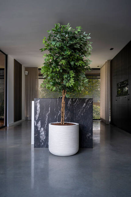 Ficus Tree - Kunstplant - L