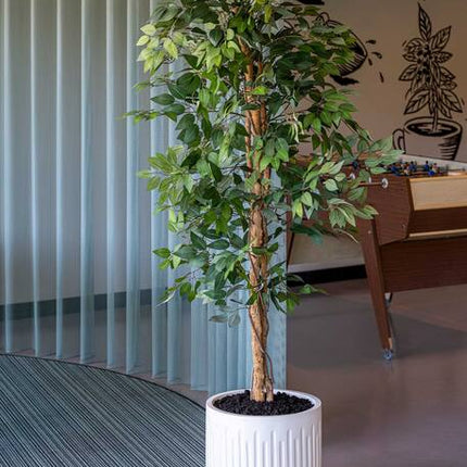 Ficus Tree - Kunstplant - L