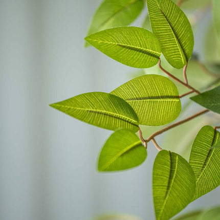 Ficus Tree - Kunstplant - L