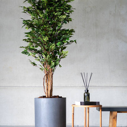 Ficus Tree - Kunstplant - S