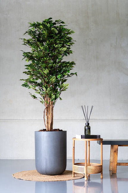 Ficus Tree - Kunstplant - S