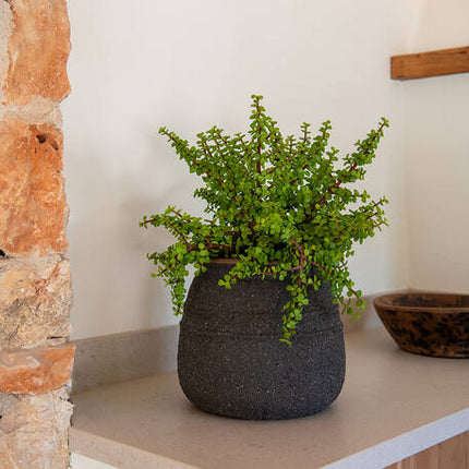 Pottery Pots - Hestia - L - Umber Brown