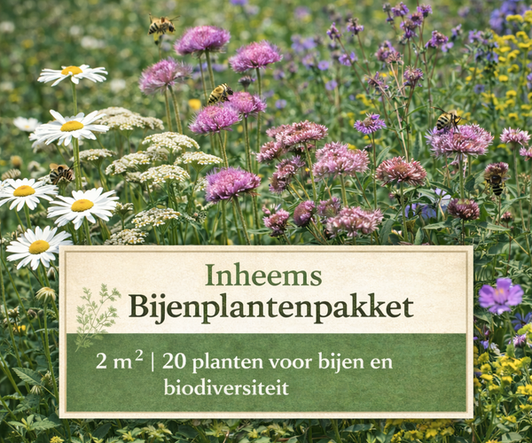 Inheems Bijenplantenpakket 2 m²