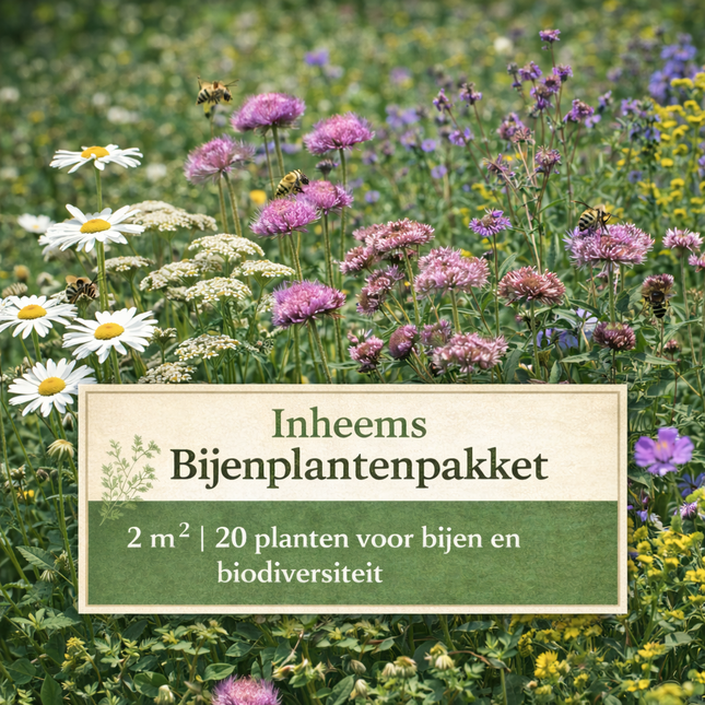Inheems Bijenplantenpakket – 2 m² - 20 planten