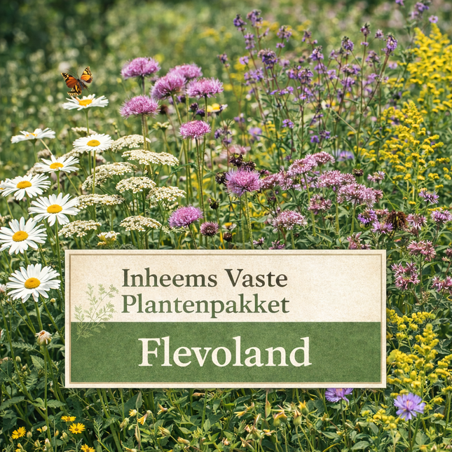 Inheems Vaste Plantenpakket Flevoland 5 m² - 50 planten
