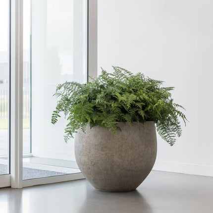 Pottery Pots - Jumbo Orb - XS - Beige Washed