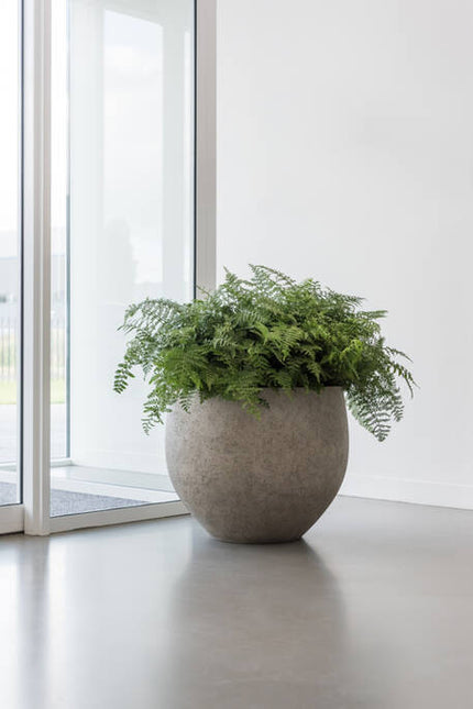 Pottery Pots - Jumbo Orb - XS - Beige Washed