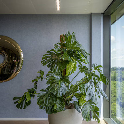 Pottery Pots - Jumbo Orb - XS - Beige Washed