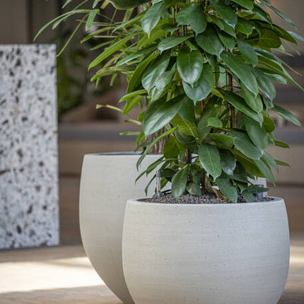 Pottery Pots - Jumbo Orb - XS - Beige Washed