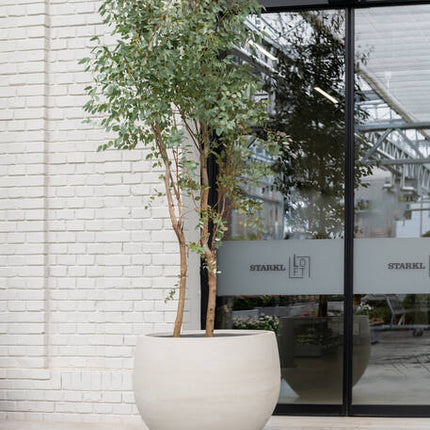 Pottery Pots - Jumbo Orb - XXS - Ivory Washed