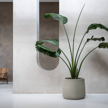 Pottery Pots - Jumbo Patt - XS - Beige Washed