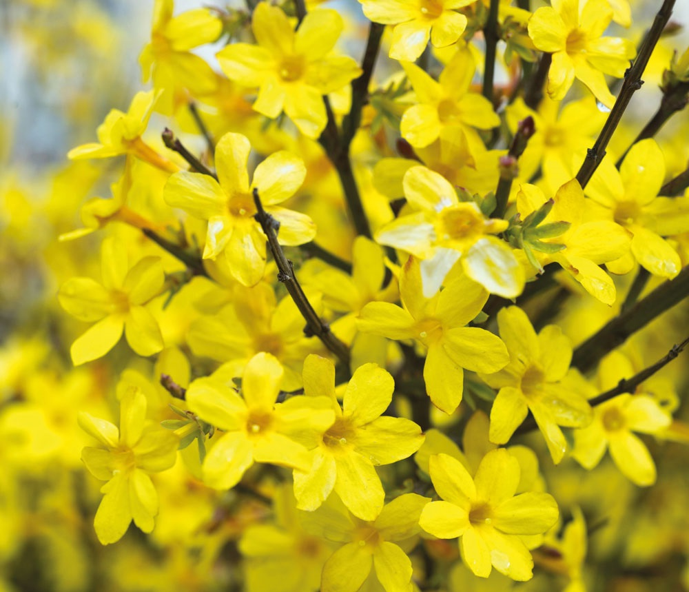 Katta kokrakli oriq ayollar VKontakte-da tibbiy korikda yalangoch yigitlar