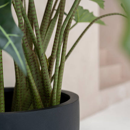 Pottery Pots - Jesslyn - S - Black