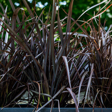 Pottery Pots - Jort - M - Black