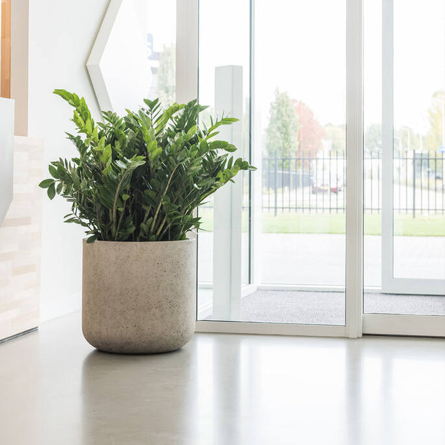 Pottery Pots - Jumbo Charlie - XS - Beige Washed