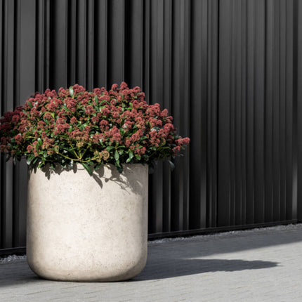 Pottery Pots - Jumbo Charlie - XS - Beige Washed