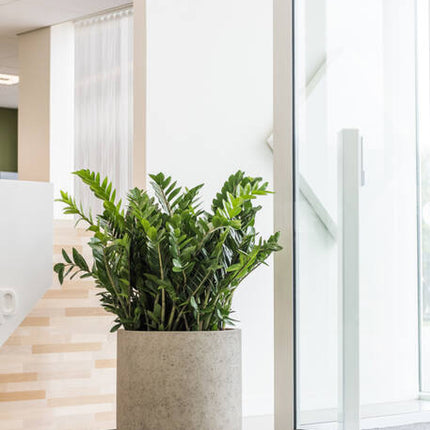 Pottery Pots - Jumbo Charlie - XXS - Beige Washed