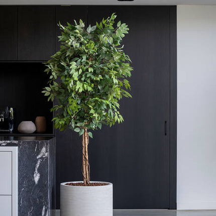 Pottery Pots - Jumbo Charlie - XXS - Ivory Washed