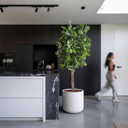 Pottery Pots - Jumbo Charlie - XXS - Ivory Washed