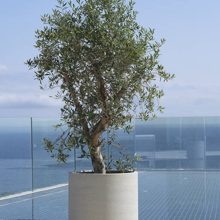 Pottery Pots - Jumbo Charlie - S - Beige Washed