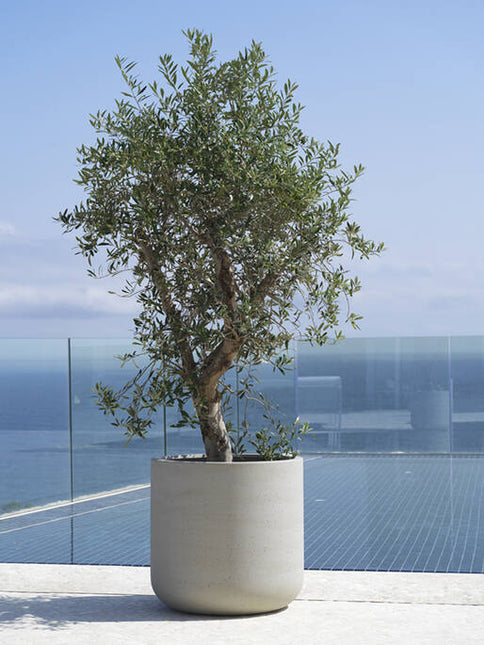 Pottery Pots - Jumbo Charlie - S - Beige Washed