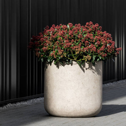 Pottery Pots - Jumbo Charlie - S - Beige Washed