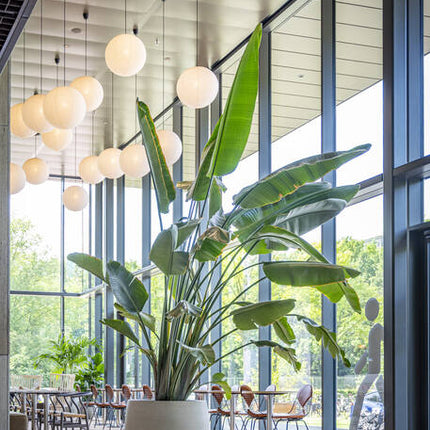 Pottery Pots - Jumbo Orb - S - Beige Washed