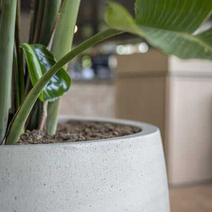 Pottery Pots - Jumbo Orb - S - Beige Washed