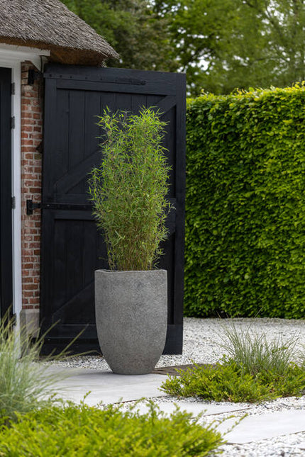 Pottery Pots - Mt. Hayes - XS - Diorite Grey