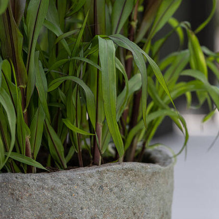 Pottery Pots - Mt. Hunter - S - Diorite Grey