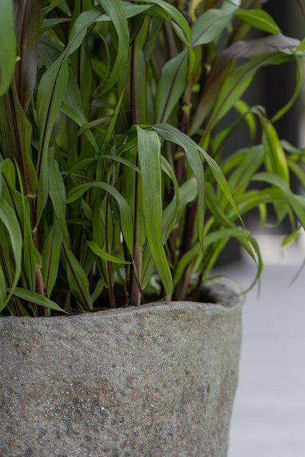 Pottery Pots - Mt. Hunter - XS - Diorite Grey