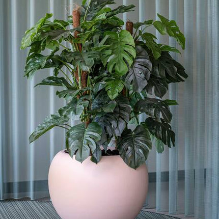Monstera Pertusum - Kunstplant - L