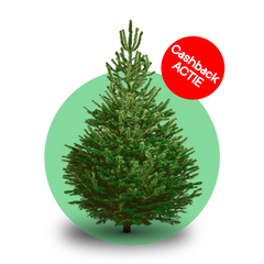 Collection image for: Startpagina