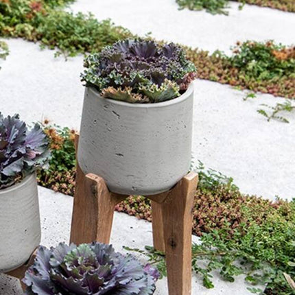 Pottery Pots - Patt (Feet High) - M - Grey Washed