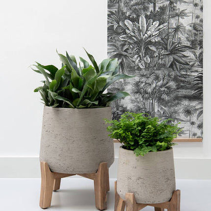 Pottery Pots - Patt (Feet Low) - M - Grey Washed