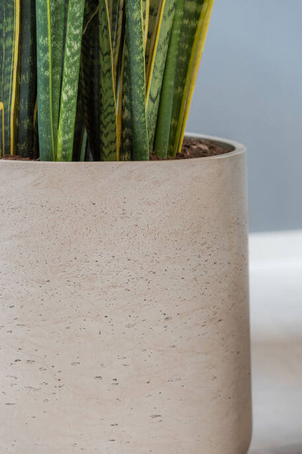 Pottery Pots - Patt - XXXL - Grey Washed