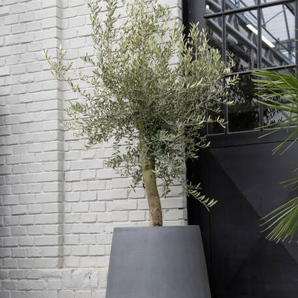 Pottery Pots - Pax - M - Grey