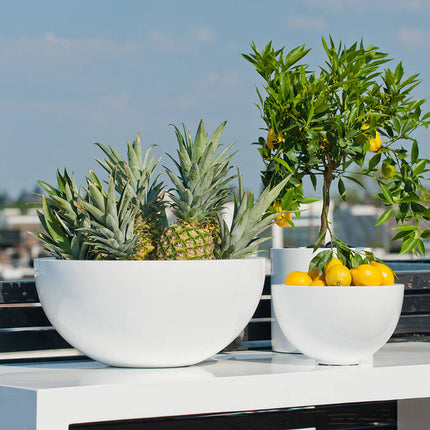 Pottery Pots - Peter - S - Glossy White