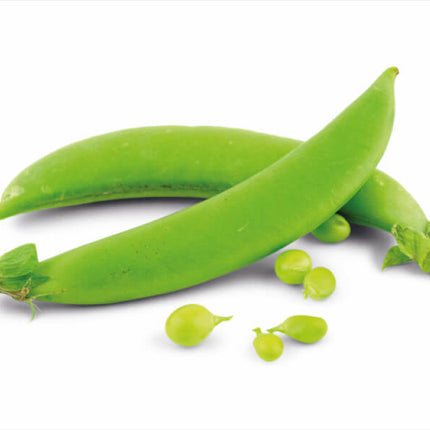 Peul laag – Peultjes boon – Pisum sativum – Per schaal