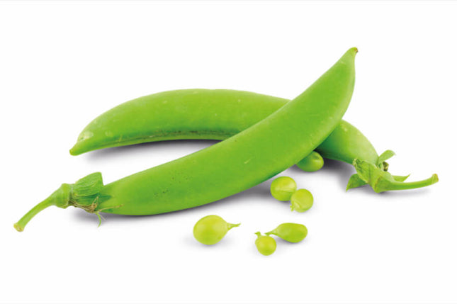 Peul laag – Peultjes boon – Pisum sativum – Per schaal