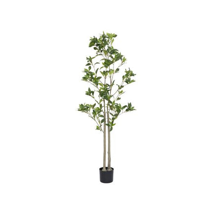 Pieris - Kunstplant - L