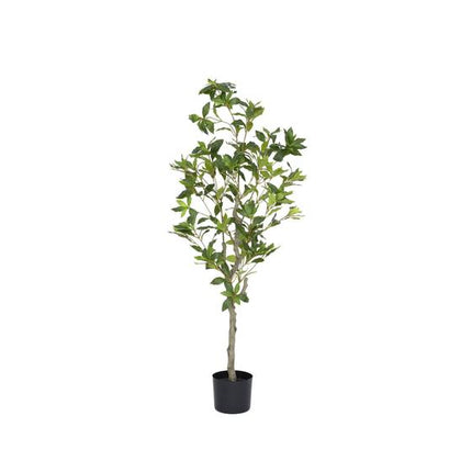 Pieris - Kunstplant - M